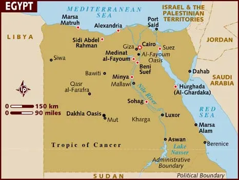 Synthetic Food Colors In Egypt